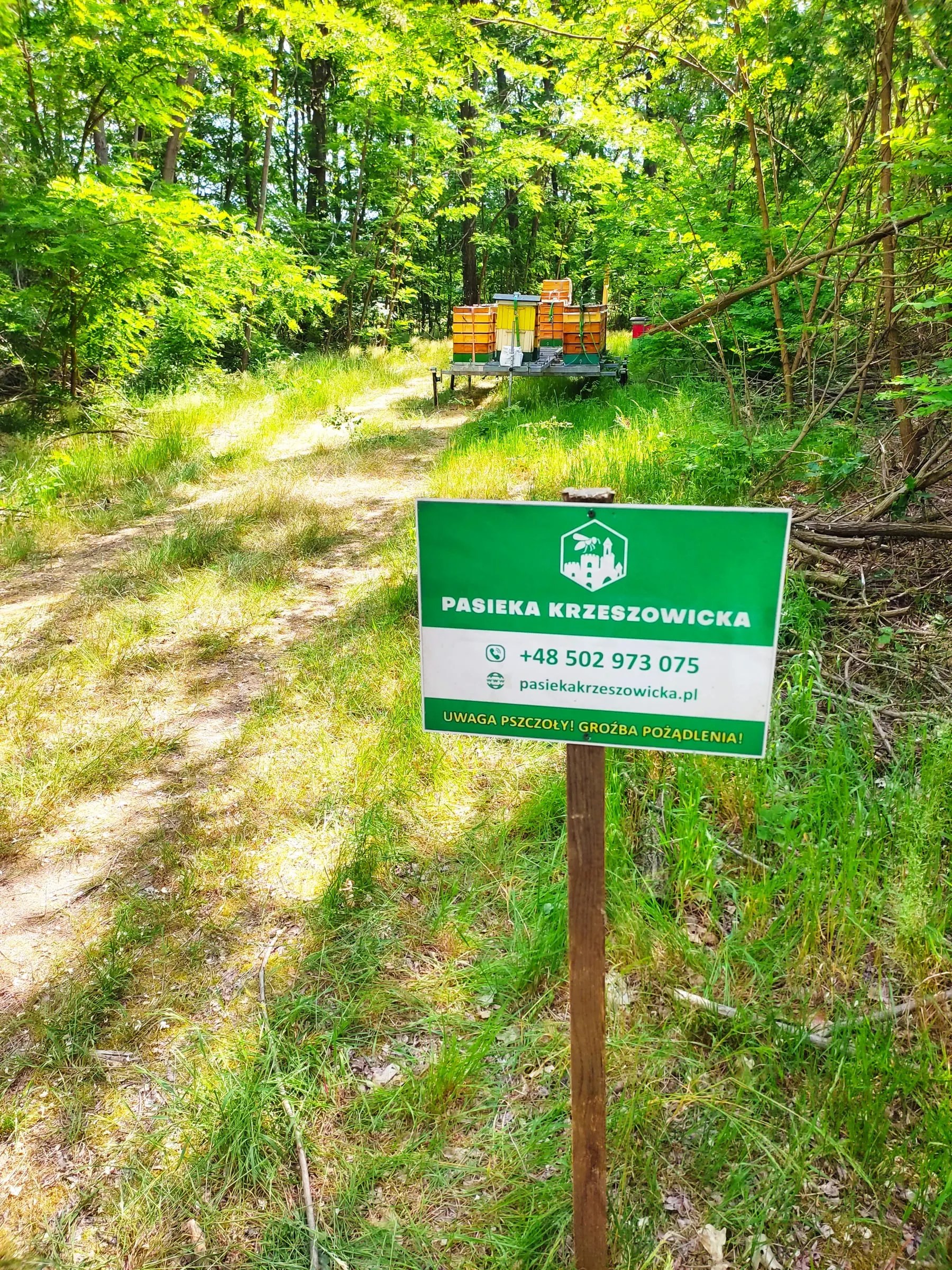 Zielona tablica z napisem Pasieka Krzeszowicka na drewnianym słupku, w tle ule ustawione na przyczepie na leśnej drodze.